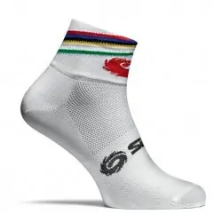 SIDI RAINBOW